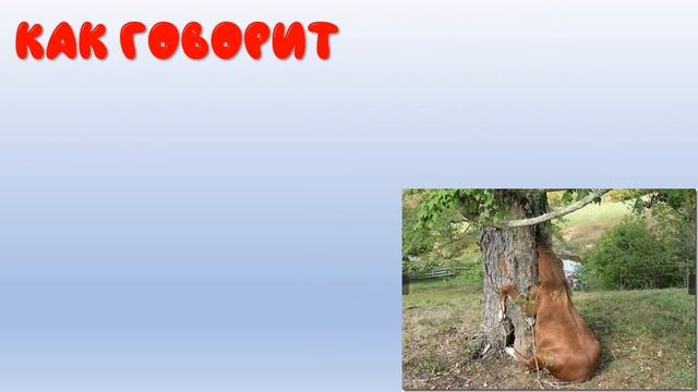 ДВУСТИШИЯ Владимир Поляков, Bazzlan # 3 смотреть онлайн