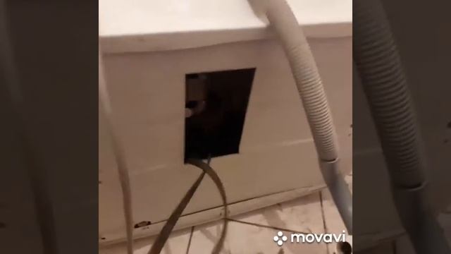 Достал трусики. Ремонт Стиральной машины. Слетел ремень. Одеваю смотреть онлайн