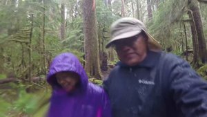 Top 8 Sights at Olympic National Park