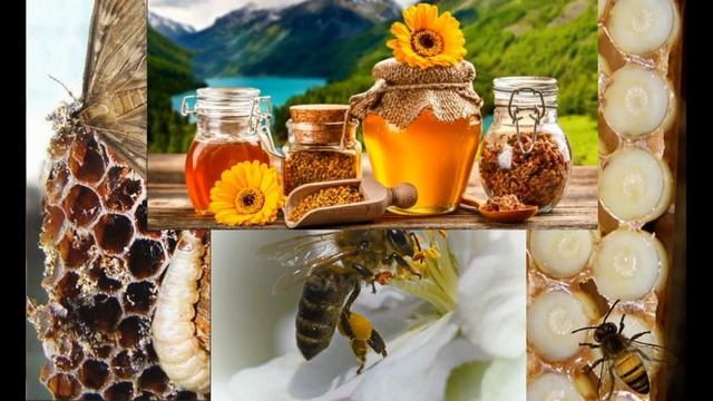 И моль способна Нам помочь. смотреть онлайн