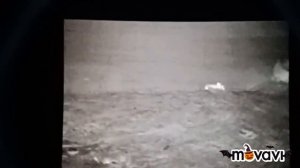 Скрадок для охоты на лису и не только.