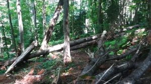 Никитино ведьмино озеро