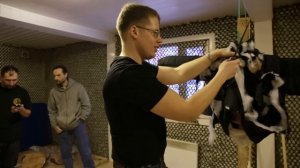 Кинжал штурмовых отрядов(Sturmabteilung)армии Германии времен ВОВ.Knife test