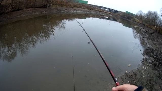 09 ноября 2022 года Ловля предзимней плотвы в проводку, на реке Десне! смотреть онлайн