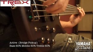 YAMAHA TRBX 505 Bass Sounds (Demo)