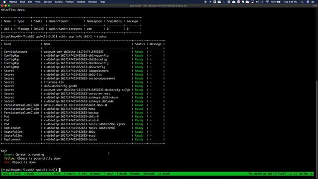 Snapshot and rollback DB2 on IBM Cloud Pak for Data using Robin Cloud Native Storage смотреть онлайн