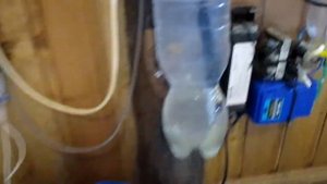 эффект Юткина УДОБРЕНИЯ ИЗ ВОДЫ