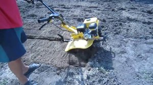 Мотоблок Sadko M-900 PRO после овощей 3