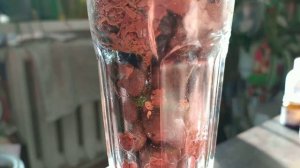 Орхидея мини,, Тайсуко кобальт,,