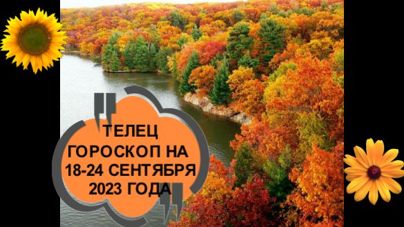 ТЕЛЕЦ ТАРО ПРОГНОЗ НА НЕДЕЛЮ С 18 ПО 24 СЕНТЯБРЯ 2023 ГОДА