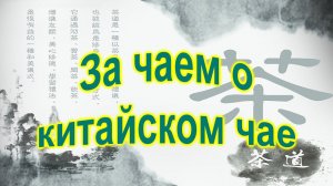 Чайный магазин. Китайский чай. За чаем о китайском чае.