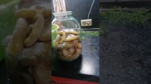 Как солить грибы, грузди и беляки. Рецепт в видео