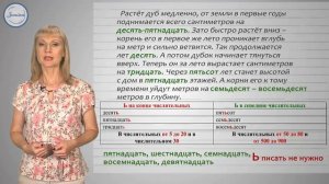 Мягкий знак на конце и в середине числительных