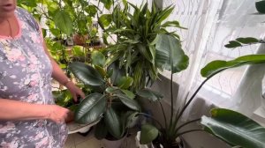 ‼️ГАЛЯ ОСУЩЕСТВЛЯЕТ СВОИ ПЛАНЫ‼️ТУРЦИЯ АНТАЛИЯ