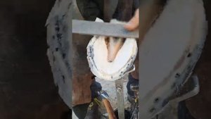Как почистить копыта лошади?