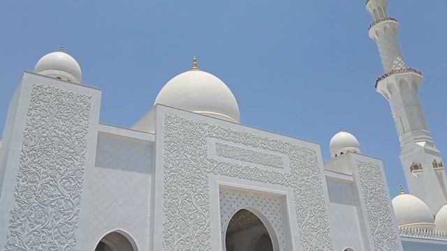 19 ноября 2023 г. смотреть онлайн