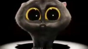 Кот Скэтмэн наоборот + максимальная громкость!