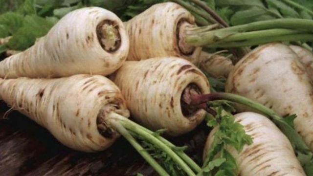 Что можно посадить в сентябре смотреть онлайн