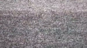 Медведь из 2026