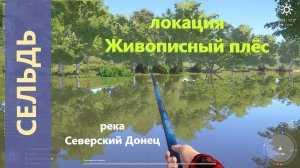 Русская рыбалка 4 - река Северский Донец - Сельдь с мостика под магазином