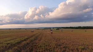 Мотоодиночество