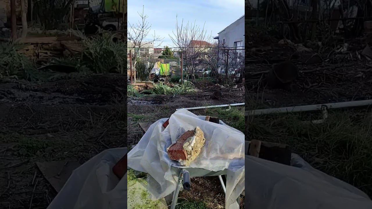 счастливого Рождества! #виделивидео #моясобака #моипитомцы #doglover #кошкиндом #жизньвчастномдоме
