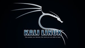 Урок 23 Анонимность Прокси сервер (Kali Linux полный курс)