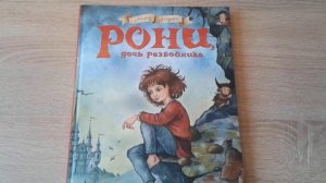 Мои домашние и, библиотечные книги.