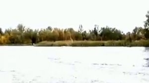 Катер SAVA Viking 420 Compact