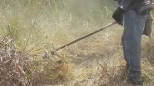 Мотокоса Oleo Mac 753 T