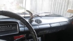 пробный коп с новым металлоискателем терминатор трио хороший результат