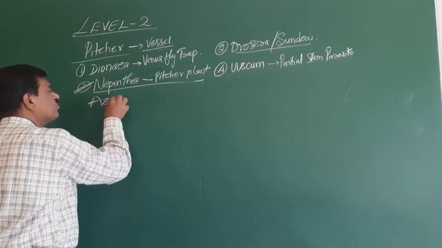 Morphology of Angiosperm Part - 11 смотреть онлайн