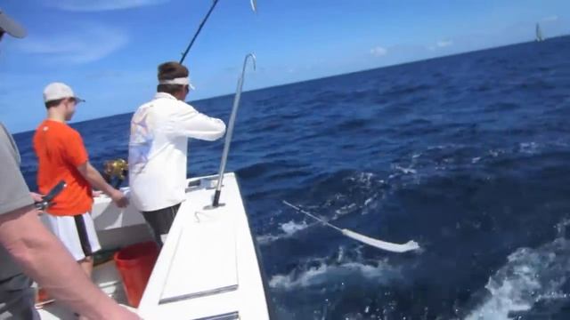 Florida Fishing Democracy смотреть онлайн