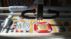 Стежка на Longarm машине с Paper Pantograph