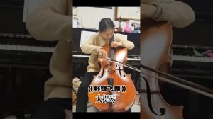 Flight of the Bumble Bee for cello