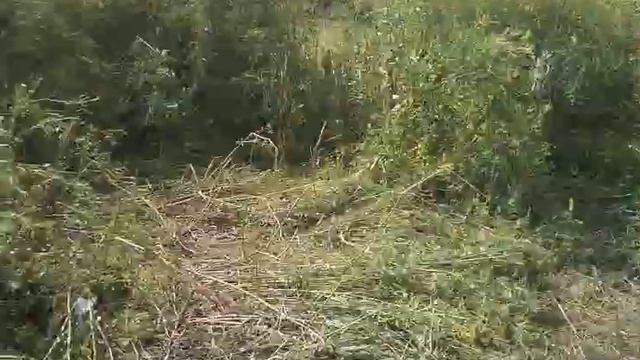 Грейдер ровняет дорогу смотреть онлайн