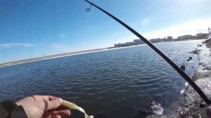 Тест Js Company Nixx Maverick 862M