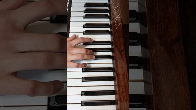 Тон-сть Си бем. маж.: гамма (3 вида). Белоткач Елизавета 8кл. смотреть онлайн