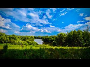 Река Десна. Брянская область. Пешком по берегам Десны со спиннингом. Монстры плещутся в реке!