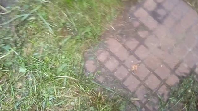 Прикол со сцеплением на мотоцикле Минск смотреть онлайн