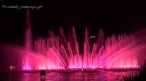 Wasserlichtkonzerte Tango - Planten un Blomen