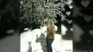 Птица летай