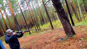 Стрельба из ТОЗ 87/ ружьё в деле/ батя и ствол/ с ружьём на природе/ Тактика