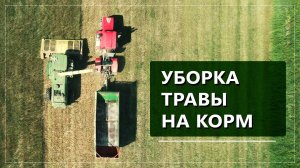 Уборка травы на корм
