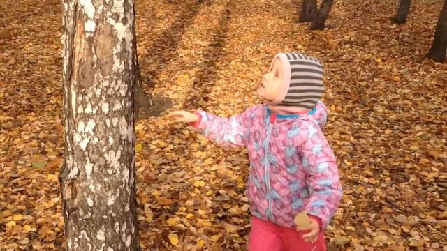 02.11.2018 Белоствольная береза смотреть онлайн