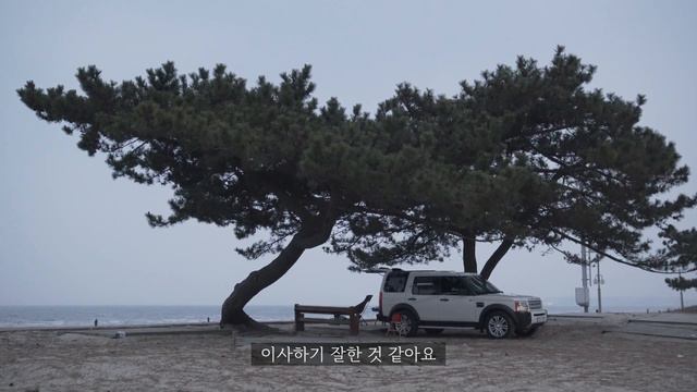 태안 청포대해수욕장 | 동계에는 무료 차박캠핑 | 서해노지 | 4K 스캠핑