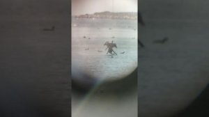 Yukon 20-50x50 HD TEST #2