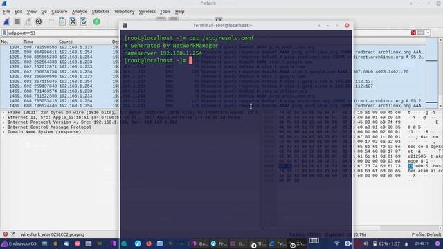 Save Permanent DNS Settings In /etc/resolv.conf Pihole DNS смотреть онлайн