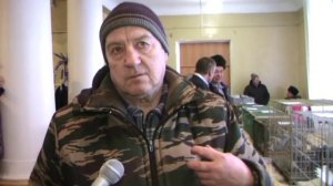 Выставка голубей.