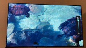 Телевизор Hisense